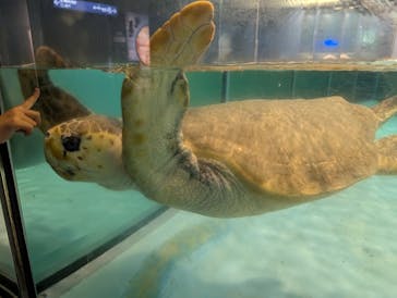 マリンワールド海の中道に投稿された画像（2025/7/25）