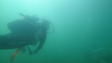 葉山ダイビングサービスに投稿された画像（2025/7/25）