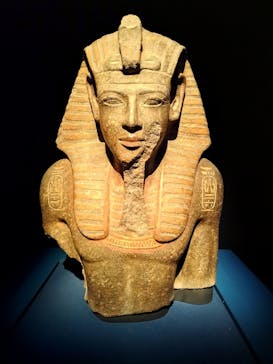 ACN ラムセス大王展 ファラオたちの黄金に投稿された画像（2025/7/25）