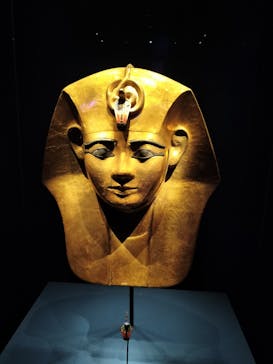 ACN ラムセス大王展 ファラオたちの黄金に投稿された画像（2025/7/25）