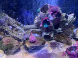 仙台うみの杜水族館に投稿された画像（2025/7/25）