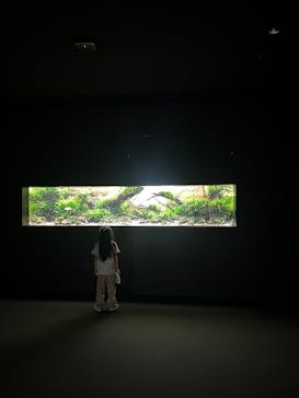 AOAO SAPPOROに投稿された画像（2025/7/25）