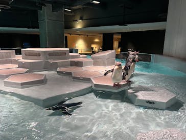 AOAO SAPPOROに投稿された画像（2025/7/25）