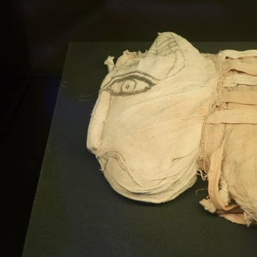 ACN ラムセス大王展 ファラオたちの黄金に投稿された画像（2025/7/25）