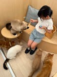 Cat Café MOFF 名古屋PARCO店に投稿された画像（2025/7/25）