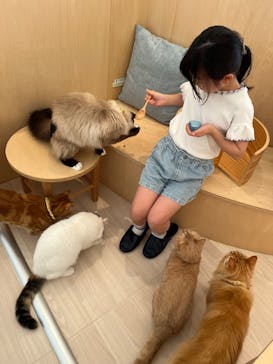 Cat Café MOFF 名古屋PARCO店に投稿された画像（2025/7/25）