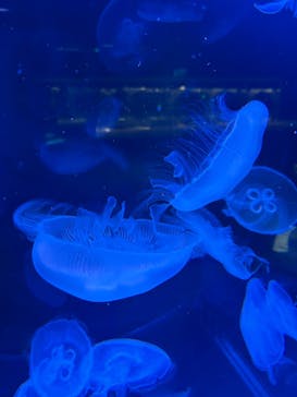 AOAO SAPPOROに投稿された画像（2025/7/25）