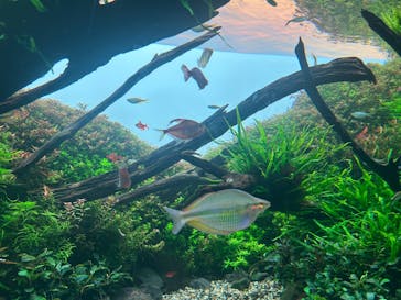 AOAO SAPPOROに投稿された画像（2025/7/25）