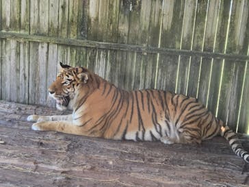 岩手サファリパークに投稿された画像（2025/7/25）