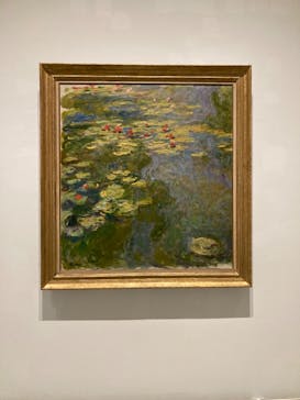 モネ 睡蓮のとき（豊田会場）に投稿された画像（2025/7/25）