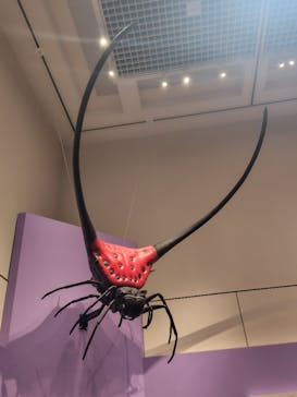 特別展 『昆虫 MANIAC』に投稿された画像（2025/7/25）