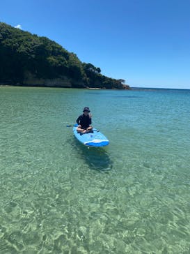 ホワイトウイングに投稿された画像（2025/7/25）