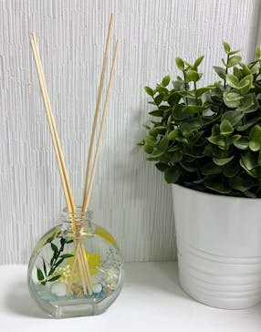 ずこうしつ〜sugamo〜に投稿された画像（2025/7/25）