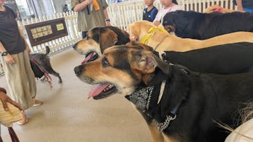 那須どうぶつ王国に投稿された画像（2025/7/25）