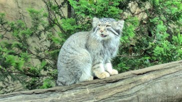 那須どうぶつ王国に投稿された画像（2025/7/25）