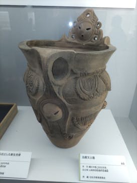 特別展「古代ＤＮＡ－日本人のきた道－」に投稿された画像（2025/7/25）