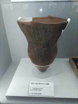 特別展「古代ＤＮＡ－日本人のきた道－」に投稿された画像（2025/7/25）