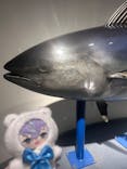 名古屋港水族館に投稿された画像（2025/7/26）
