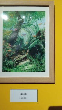 プレバト才能アリ展に投稿された画像（2025/7/25）