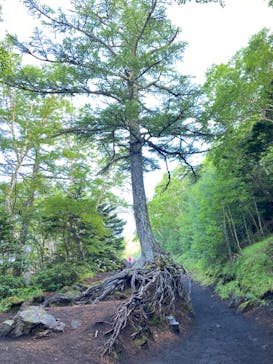 富士山吉田ルート（山梨県）に投稿された画像（2025/7/25）