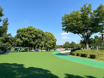 しらこばと水上公園（埼玉県公園緑地協会）に投稿された画像（2025/7/25）