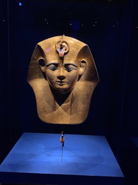 ACN ラムセス大王展 ファラオたちの黄金に投稿された画像（2025/7/25）