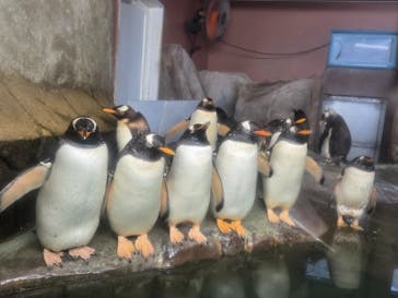 那須どうぶつ王国に投稿された画像（2025/7/25）