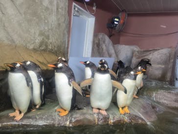 那須どうぶつ王国に投稿された画像（2025/7/25）