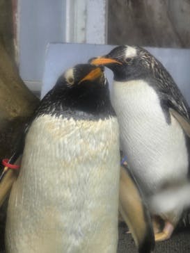 那須どうぶつ王国に投稿された画像（2025/7/25）