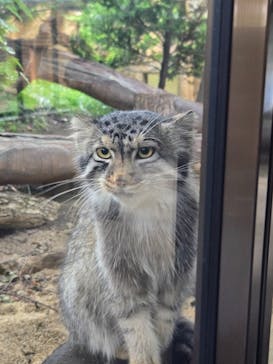 那須どうぶつ王国に投稿された画像（2025/7/25）