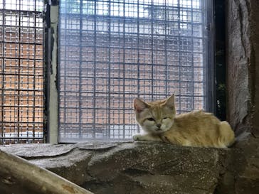 那須どうぶつ王国に投稿された画像（2025/7/25）