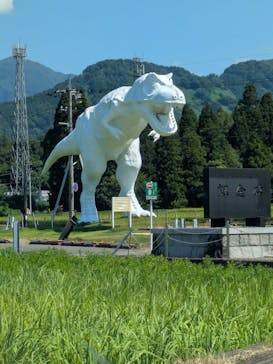 福井県立恐竜博物館に投稿された画像（2025/7/26）