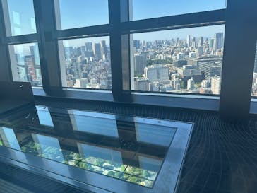 東京タワーに投稿された画像（2025/7/26）