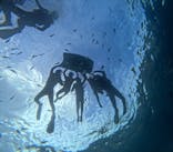 沖縄マリンサービス碧に投稿された画像（2025/7/26）