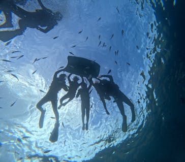 沖縄マリンサービス碧に投稿された画像（2025/7/26）