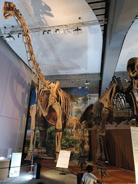 巨大恐竜展2025に投稿された画像（2025/7/26）