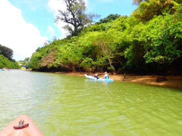 B-nature（ビーネイチャー）に投稿された画像（2025/7/26）