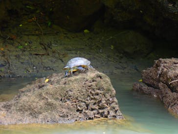 B-nature（ビーネイチャー）に投稿された画像（2025/7/26）