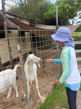 B-nature（ビーネイチャー）に投稿された画像（2025/7/26）