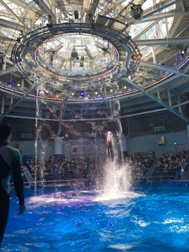 マクセル アクアパーク品川に投稿された画像（2025/7/26）