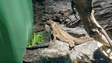 サンシャイン水族館に投稿された画像（2025/7/26）