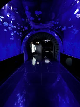 サンシャイン水族館に投稿された画像（2025/7/26）