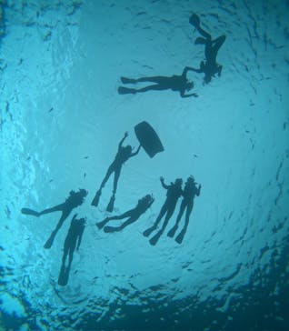 沖縄マリンサービス碧に投稿された画像（2025/7/26）