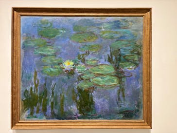 モネ 睡蓮のとき（豊田会場）に投稿された画像（2025/7/26）