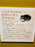 リトルモンスター展～「うゎっ」と「ぅわぁ～」のいきものたち～ @新潟県立自然科学館に投稿された画像（2025/7/26）