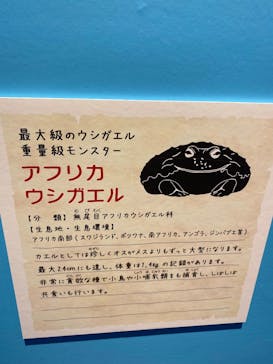 リトルモンスター展～「うゎっ」と「ぅわぁ～」のいきものたち～ @新潟県立自然科学館に投稿された画像（2025/7/26）