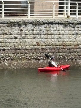 帆船日本丸・横浜みなと博物館 柳原良平アートミュージアムに投稿された画像（2025/7/26）