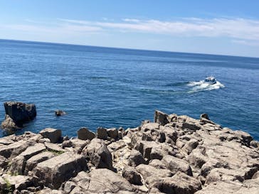 東尋坊観光遊覧船株式会社に投稿された画像（2025/7/26）