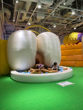 君も博士になれる展 in東京ミッドタウン八重洲に投稿された画像（2025/7/26）