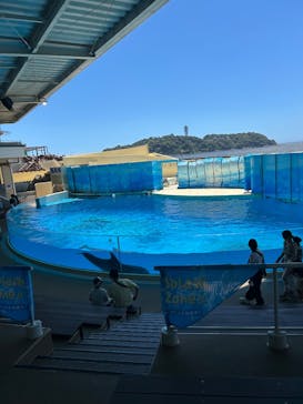 新江ノ島水族館に投稿された画像（2025/7/26）